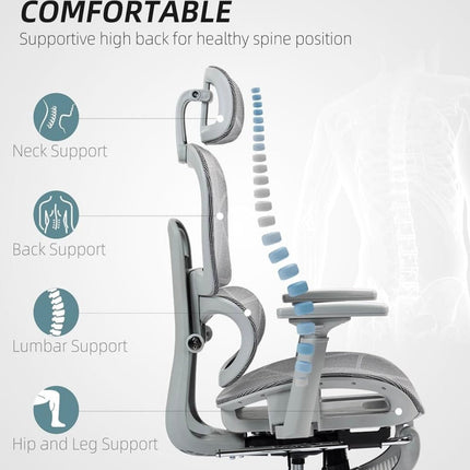 Ergonomisk kontorstol med 3 - soners korsryggstøtte - IGM Shop Norway